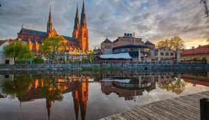 Buy Weed in Uppsala Sweden